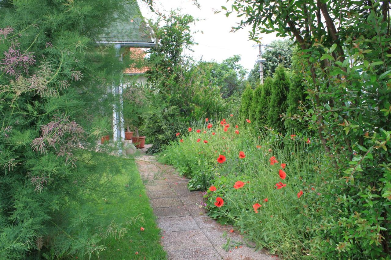 Boulevard Garden House - Free And Save Parking In The Locked Yard ชูปริยา ภายนอก รูปภาพ